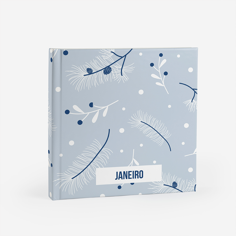 Álbum de Janeiro 3
